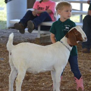 Meet your Posher, Corinna